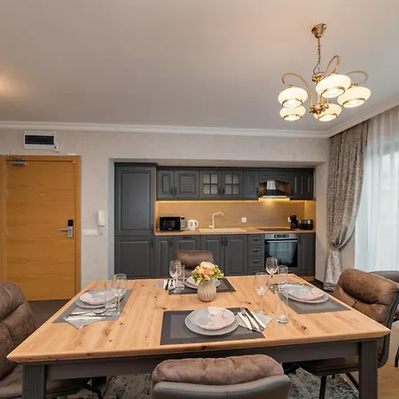 Classic Apartament